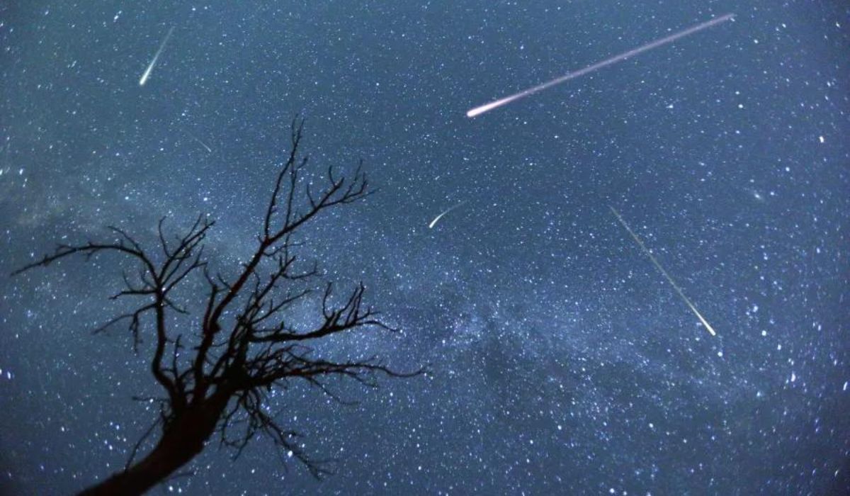 2000 Gather in Doha for Perseid Meteor Shower Amid Rising Interest in Astronomy
